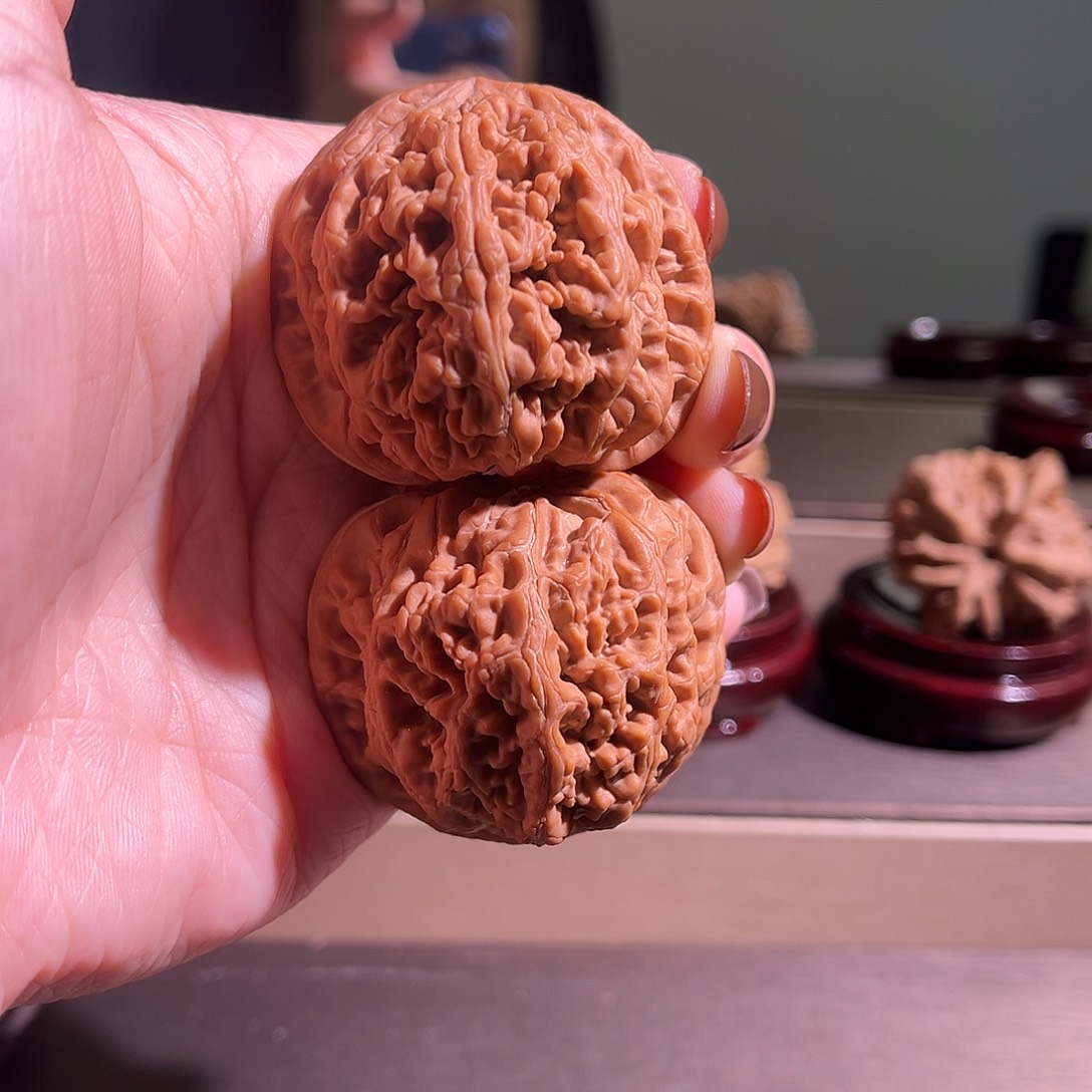 枫***.核桃大粗筋全品无休