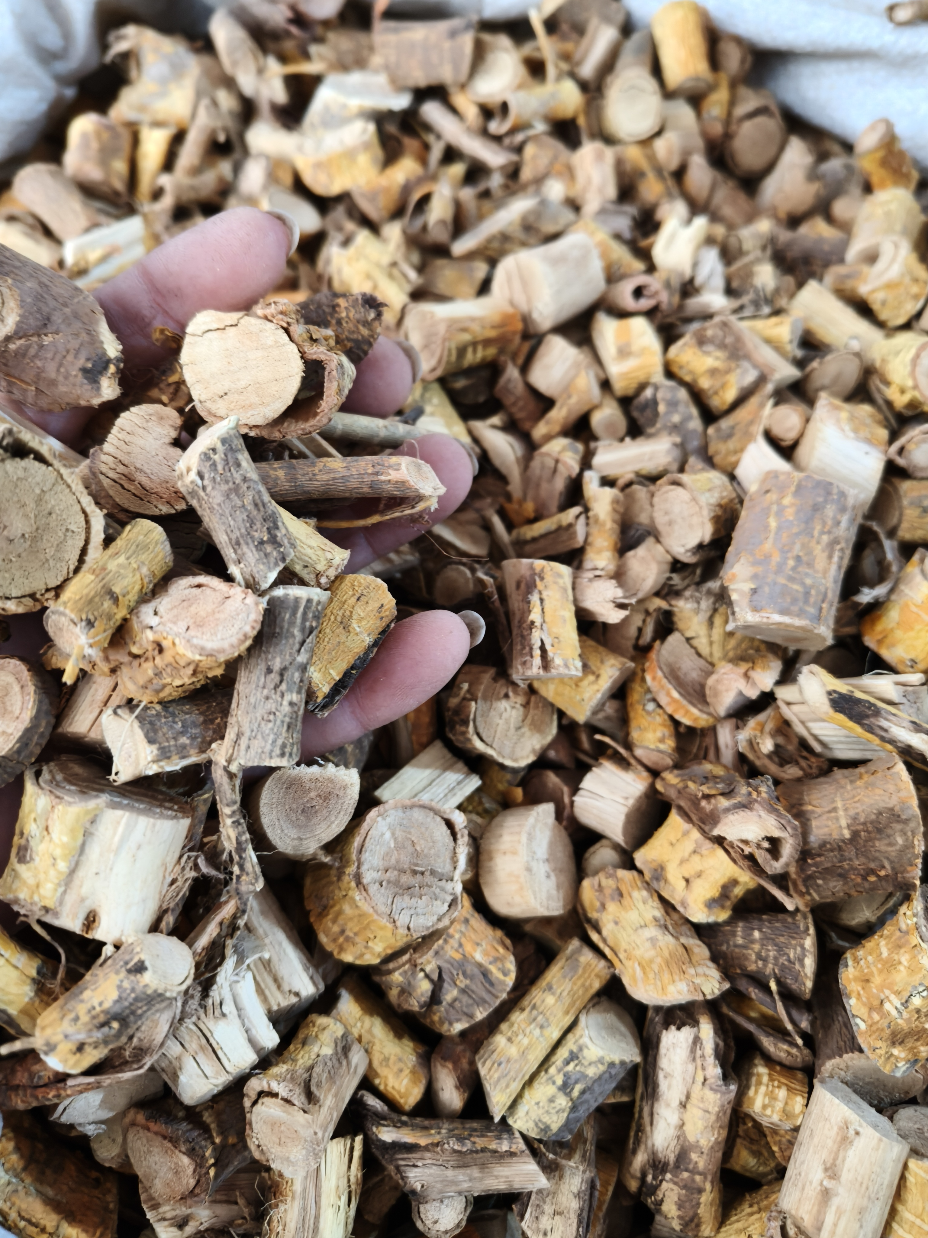 广西野生穿破石根部干货自然晾晒干