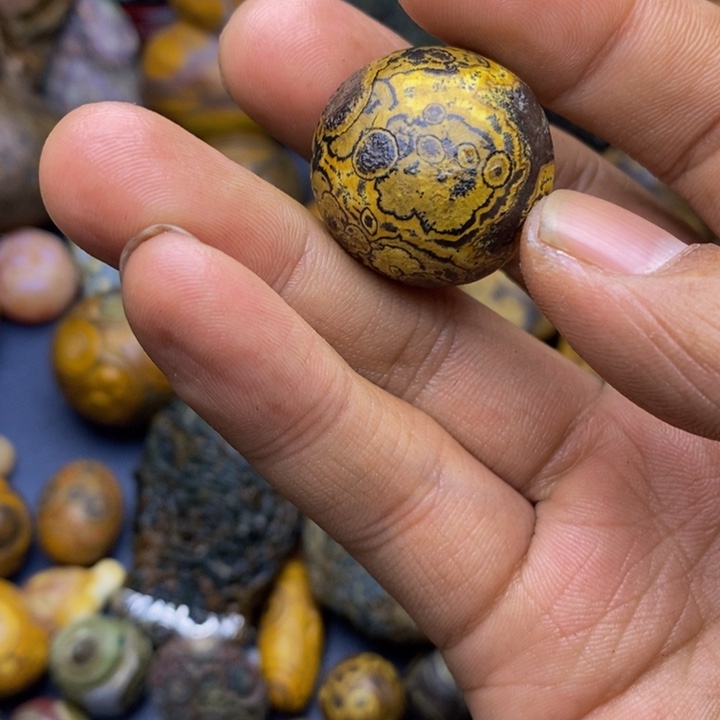 木滴**君四子王旗的历史