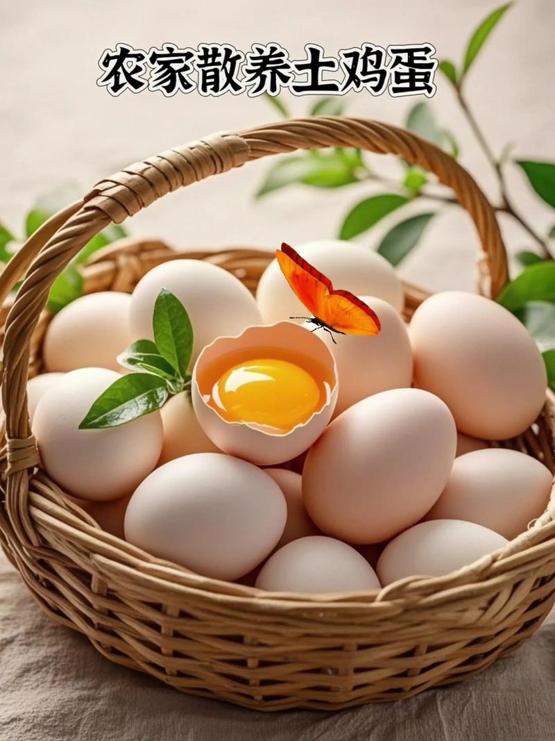 农村散养土鸡蛋新鲜现捡粗粮谷物喂养营养丰富孕妇月子适用