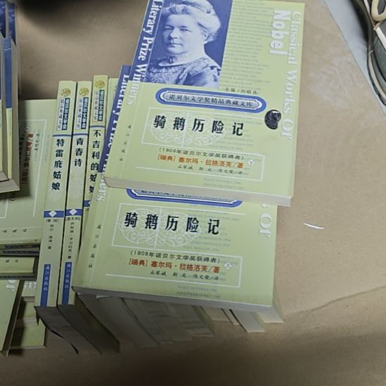 骑鹅历险记两本一套库存书