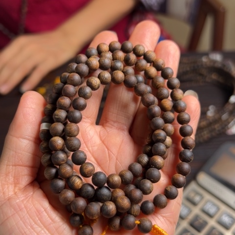 手串沉香 乌身一代苗沉水卡6多样性发1条