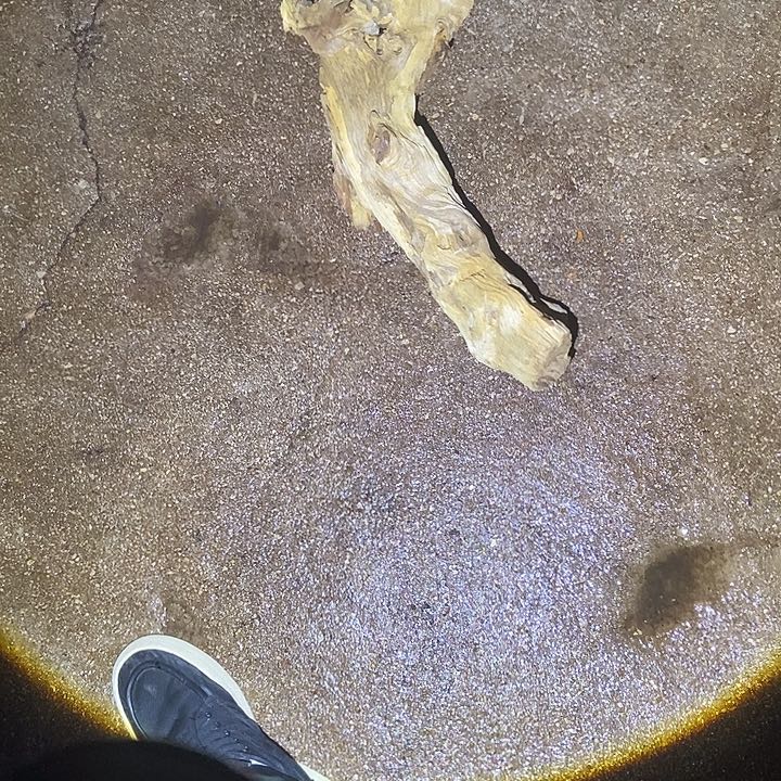 小***间楠木（金丝楠）手串/手链