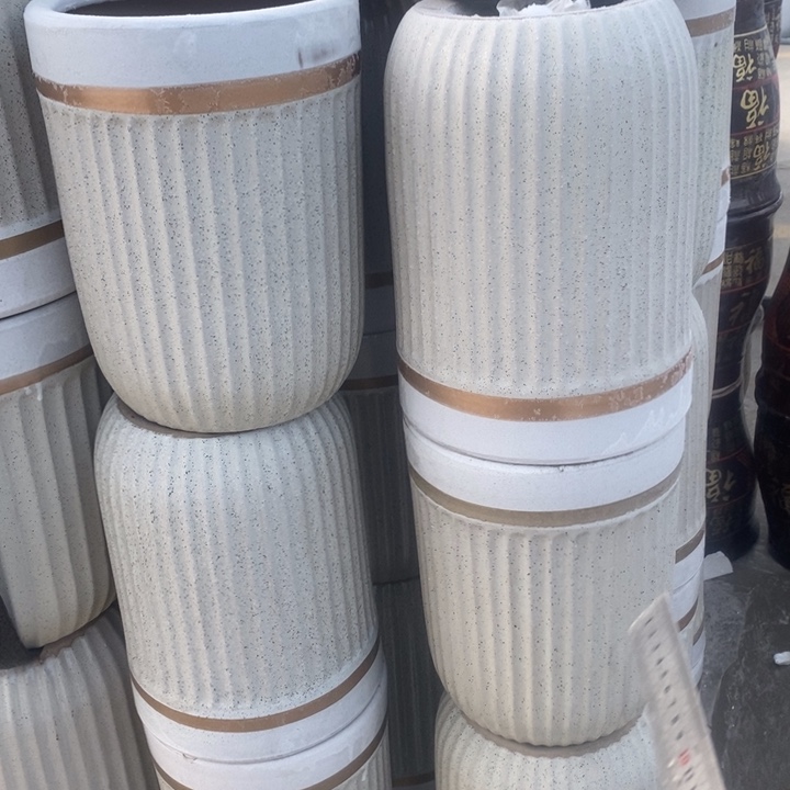 低腰奶茶金边白中号口25/32