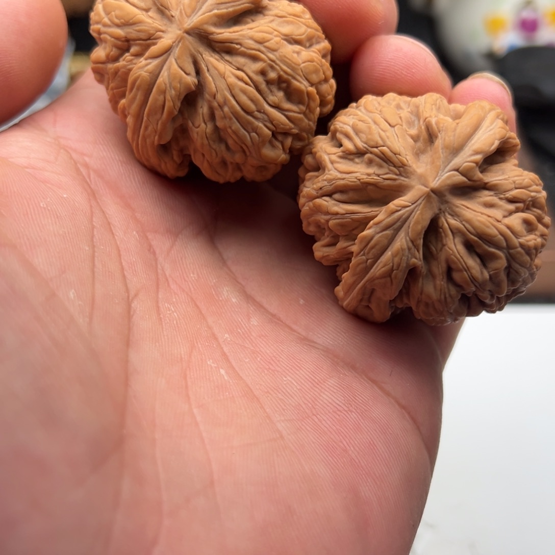 文玩核桃把件红锦鲤43➕