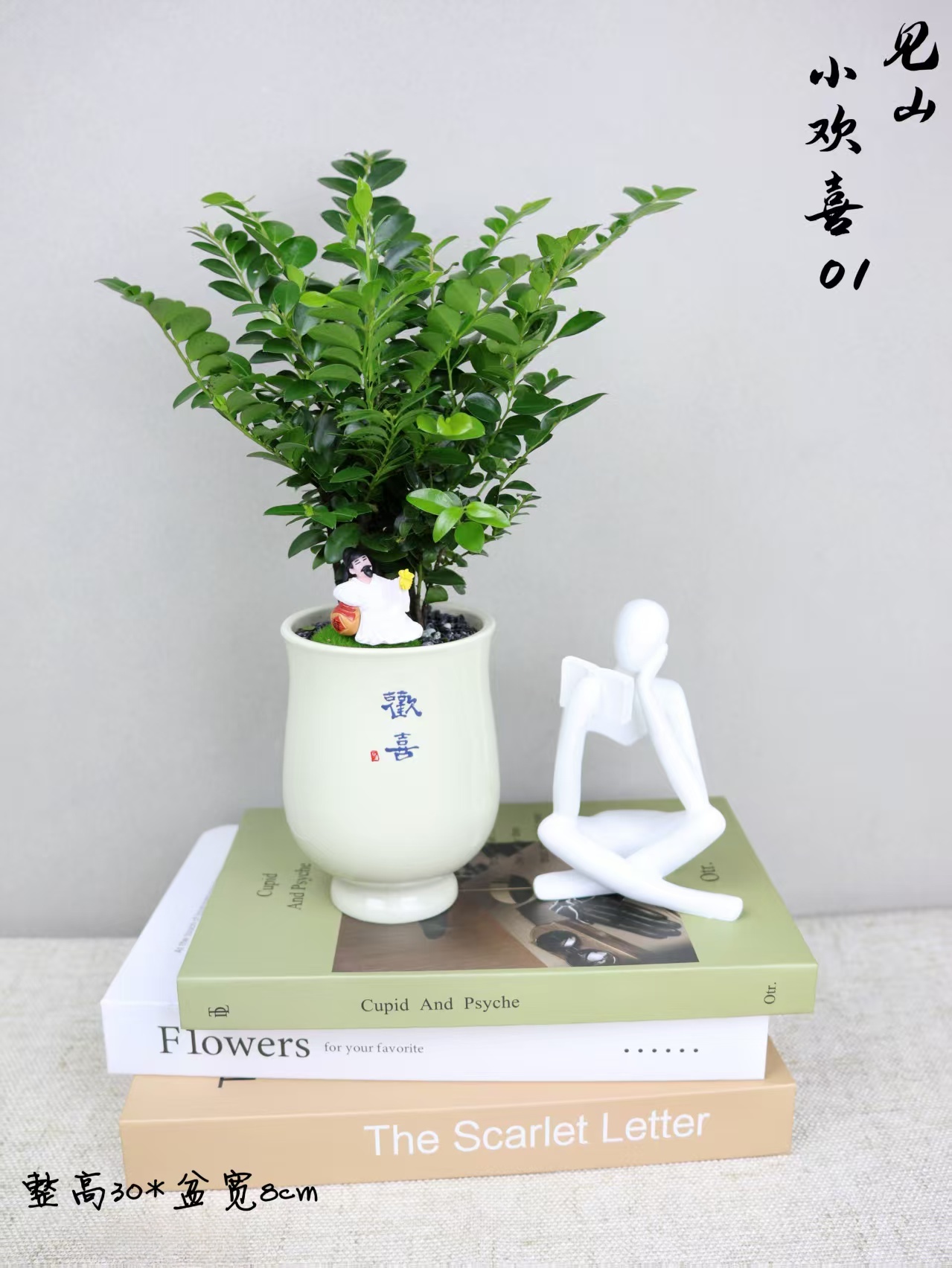 【小欢喜紫檀】室内工位茶几办公桌四季好养绿植盆栽  