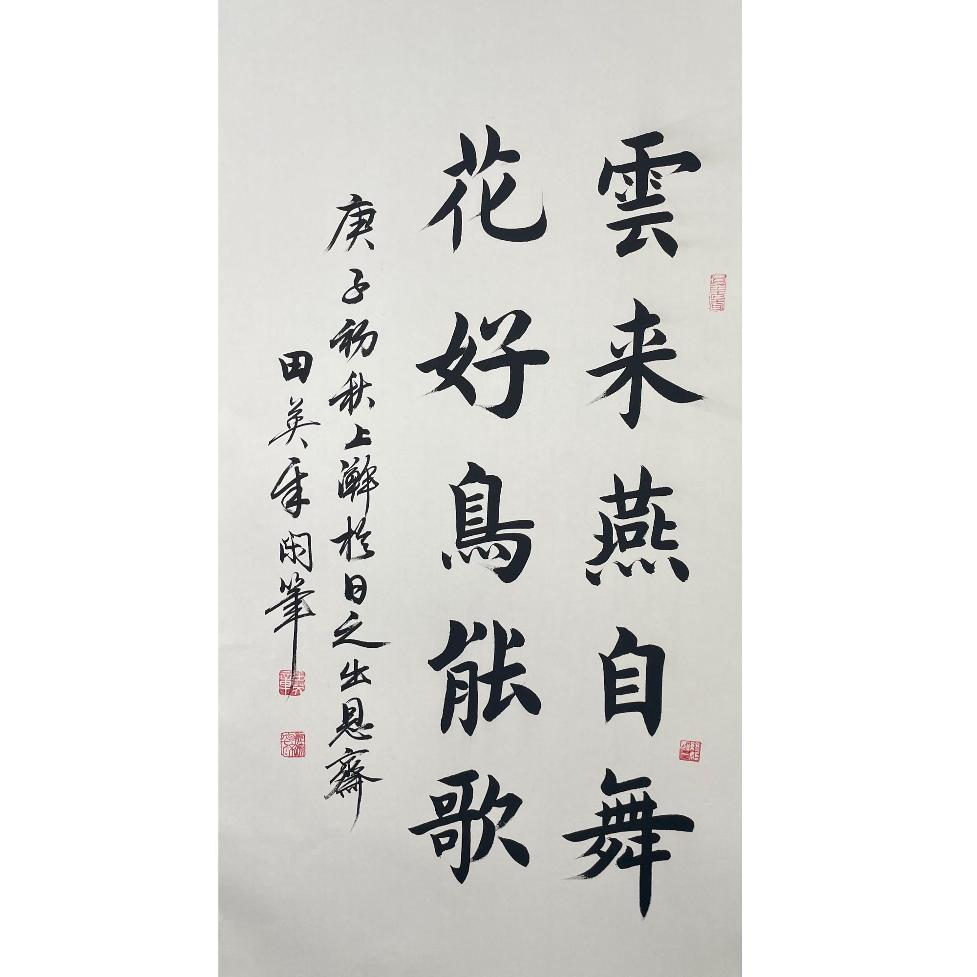 T-1171 单片 100*50约4.5平尺