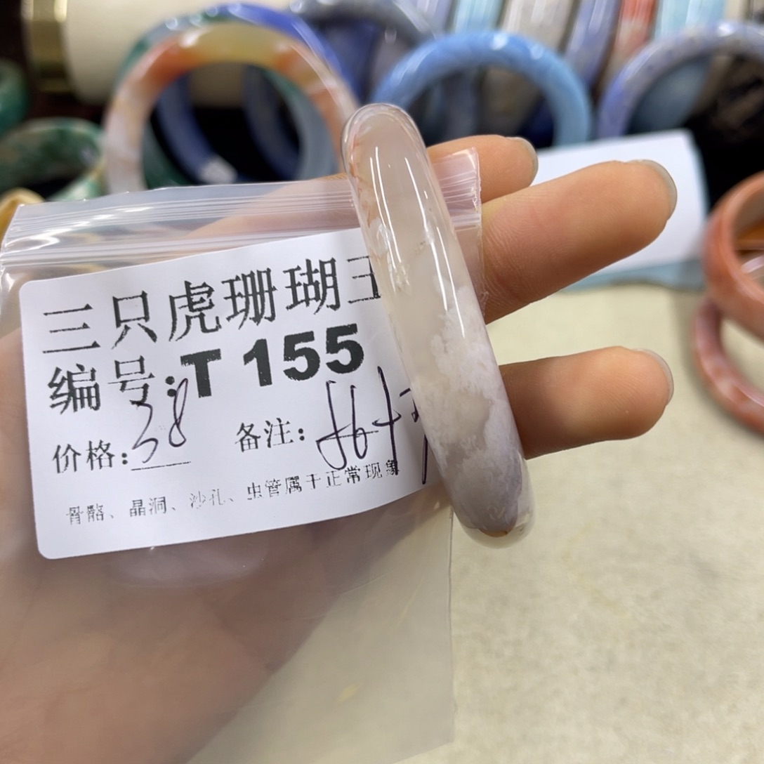 无***念硅化珊瑚（珊瑚玉）未镶嵌h