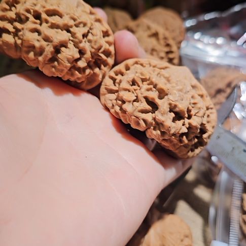 文玩核桃吊坠53龙鼎管帽