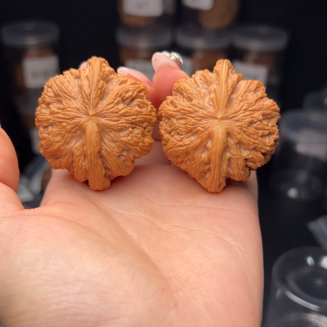 文玩核桃吊坠悟*大粗筋