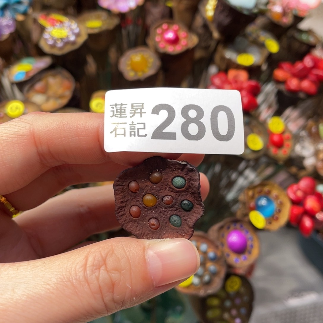核桃木/黑胡桃（胡桃木）喜*猫280