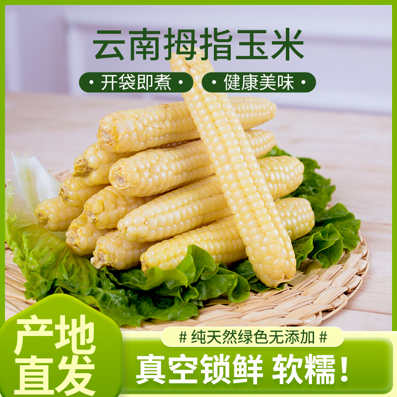 西双版纳拇指玉米甜糯可口非转基因代餐主食