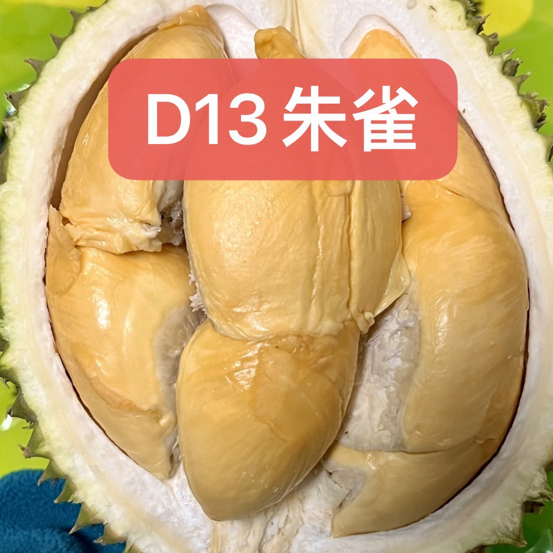 小黑刺D13朱雀液氮冷冻榴莲D13朱雀马来西亚