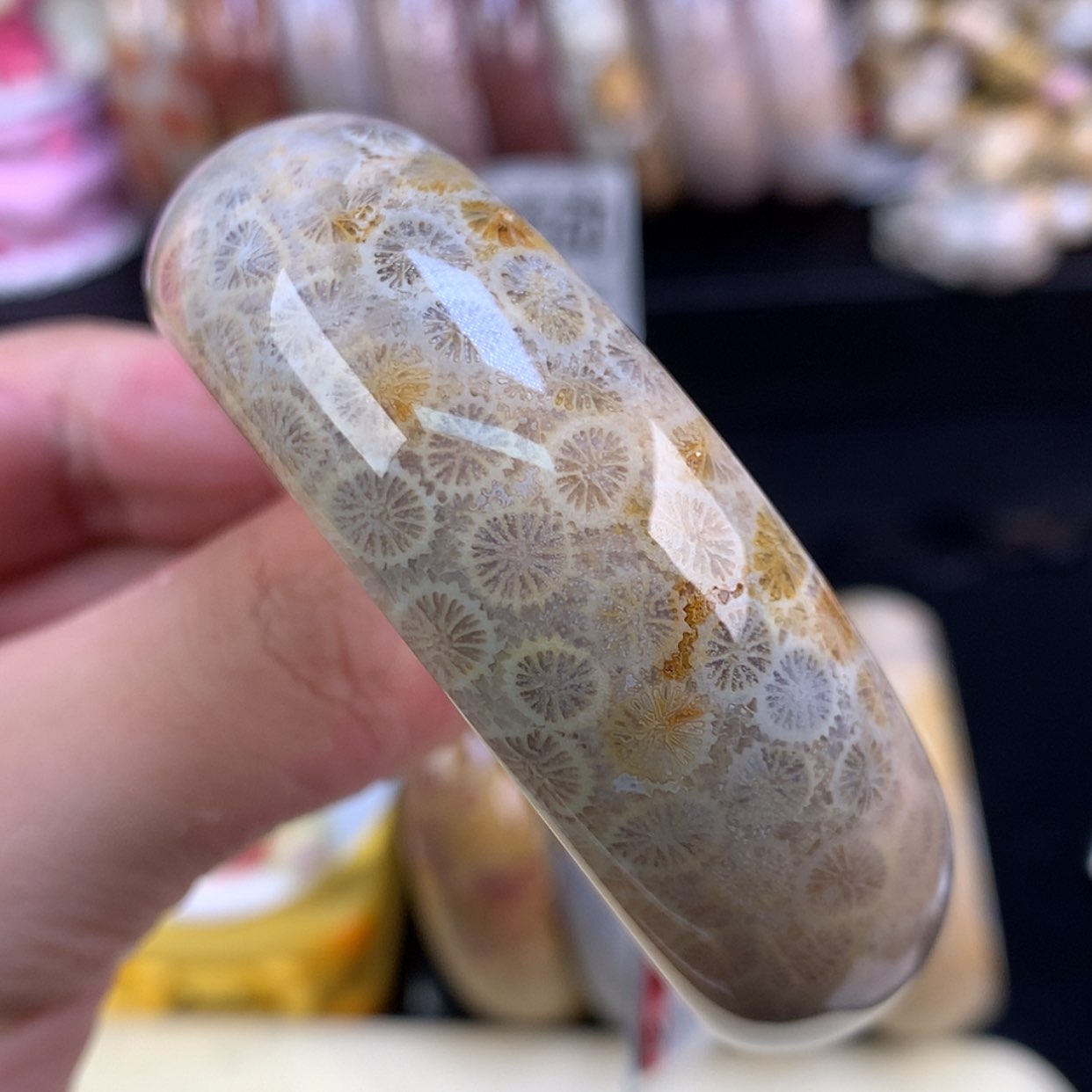 【闪购商品】颈饰未镶嵌硅化珊瑚（珊瑚玉）30号53.3圈柠檬片