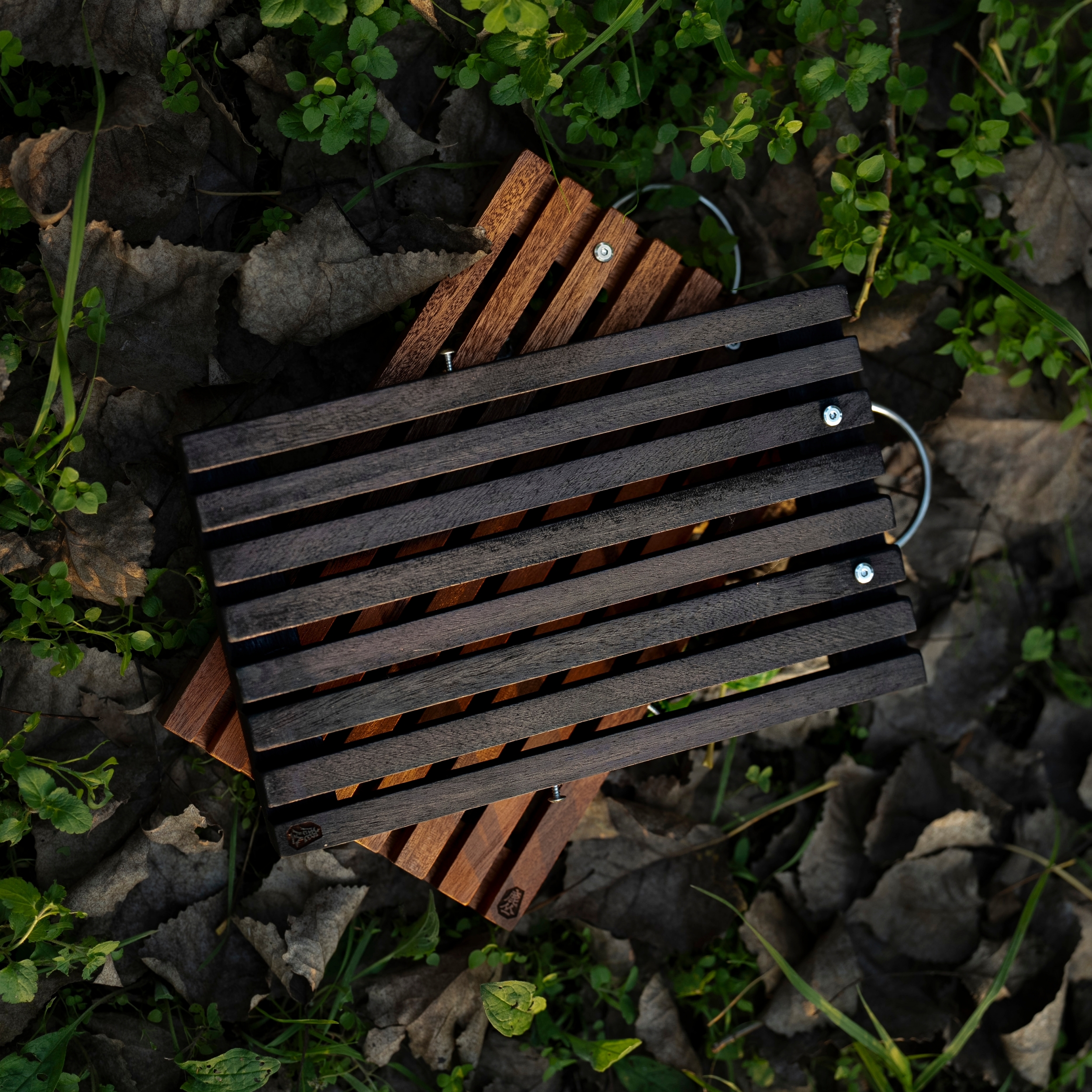 鹿丛鹿角蕨板 栅格板