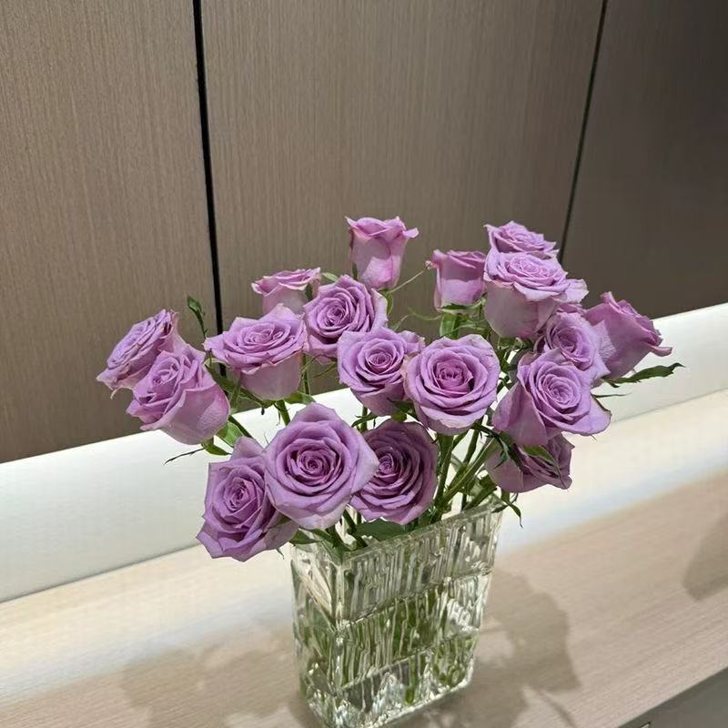 云南玫瑰鲜花紫霞仙子玫瑰花云南昆明花束基地直发插花批发水养