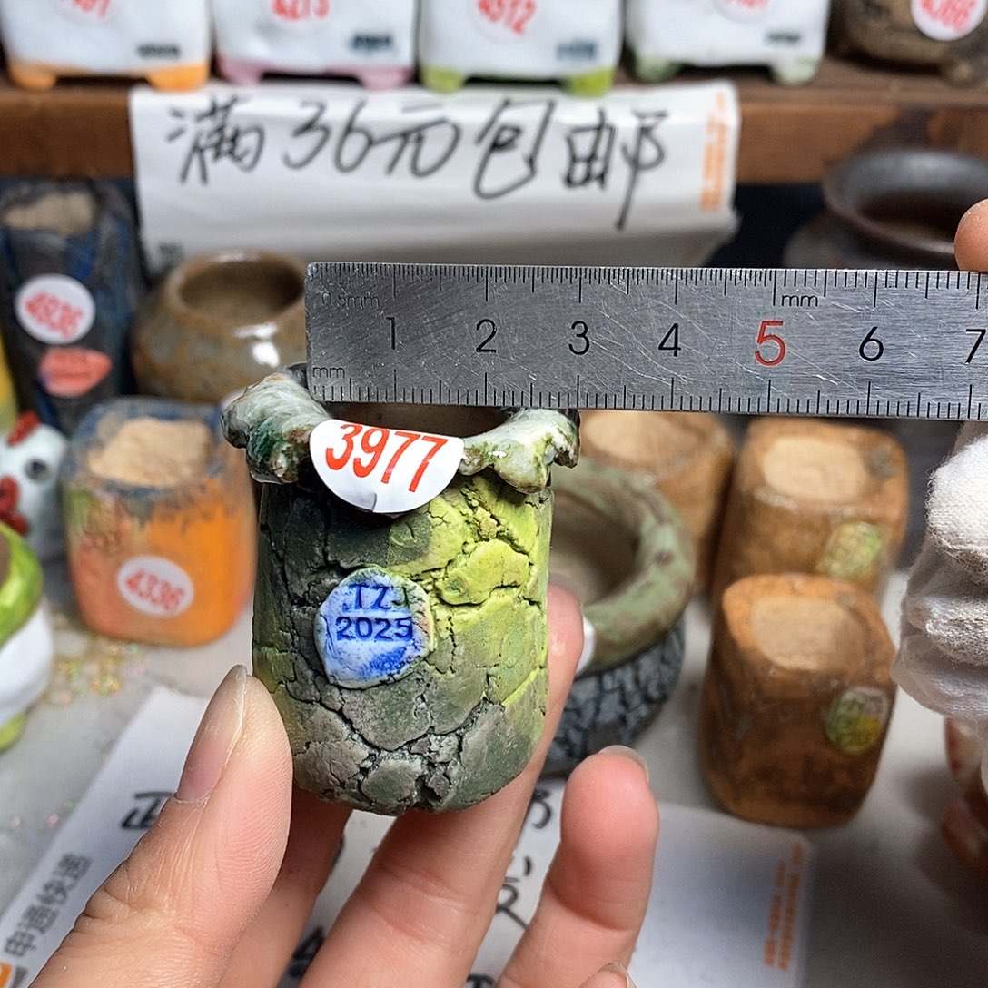 红陶拍5送一个小