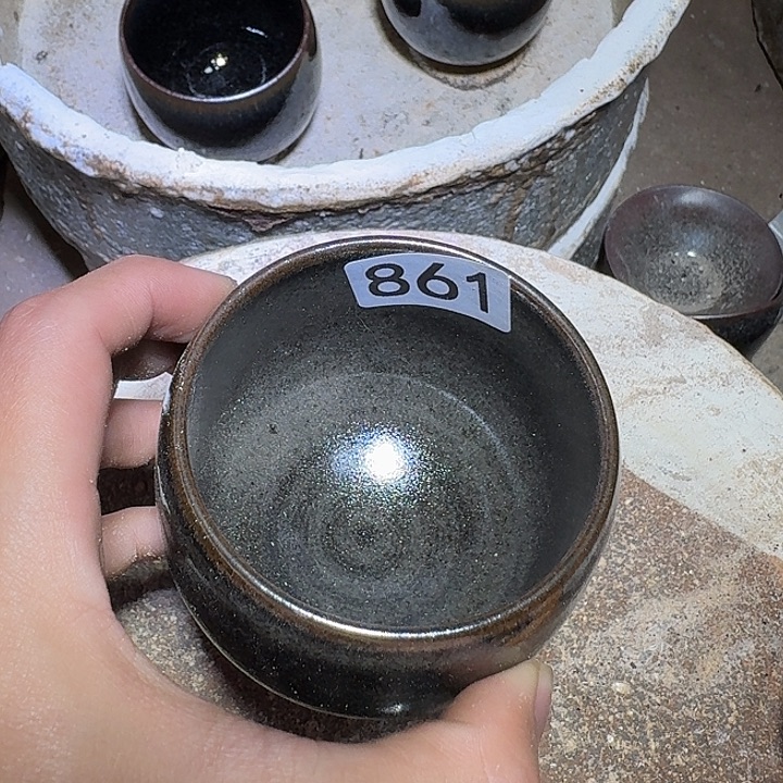 茶盏提出解决农村留守学生入学