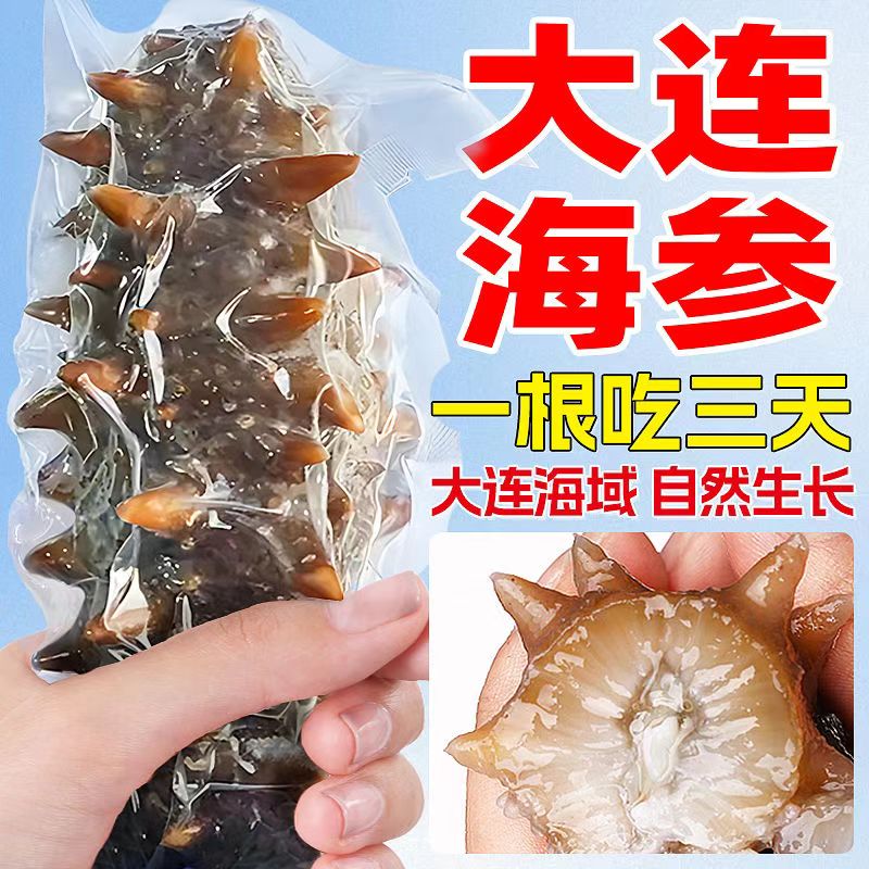 【开播福利】大连精品海参营养劲道二斤装