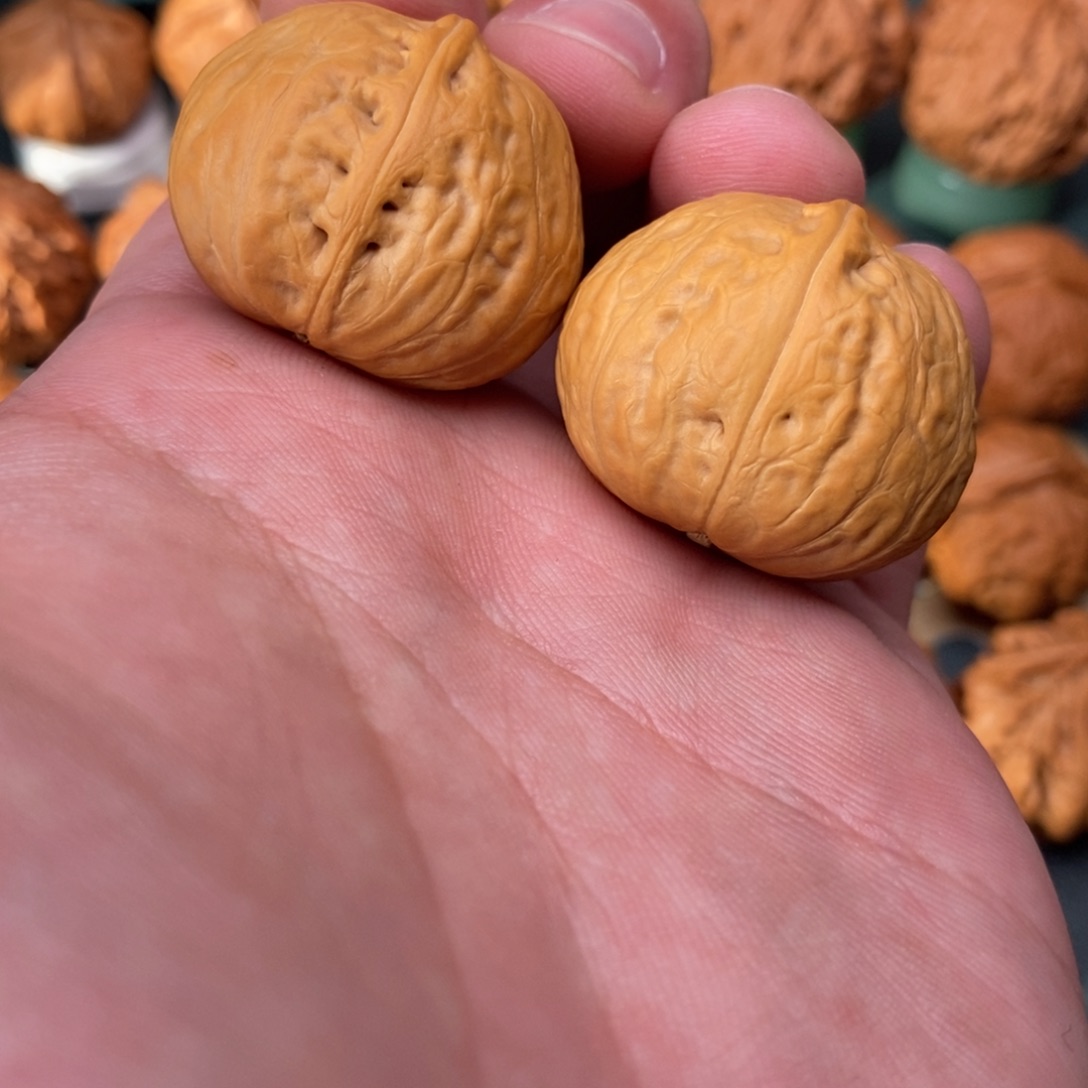 文玩核桃把件光头元宝