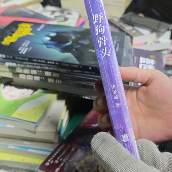 野狗骨头印签版库存书