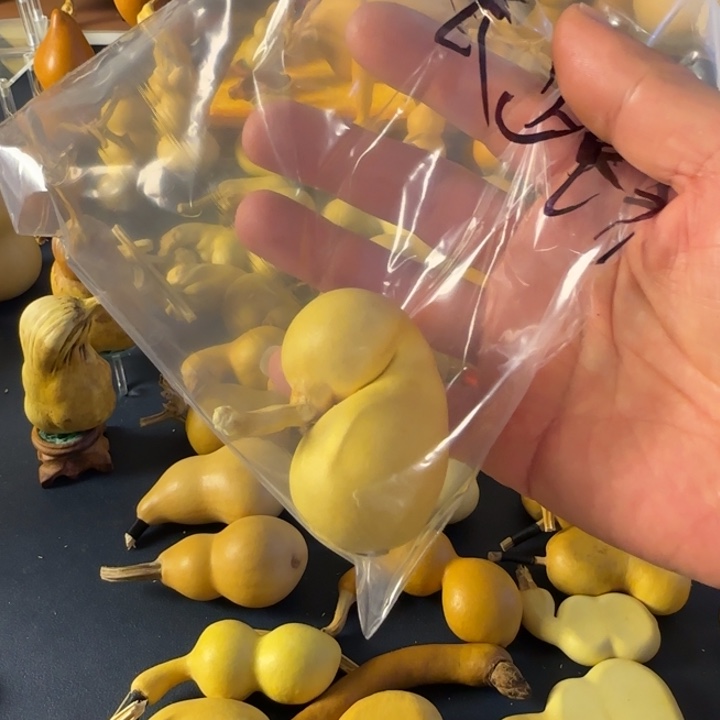 烀***的绒面对符合健健康康就能解决就斤斤计较