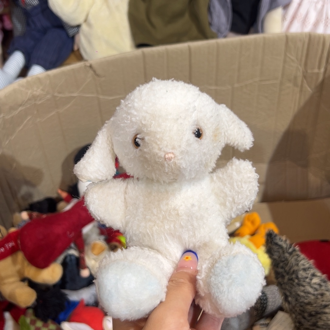 三醋酯纤维太爱姐姐妹妹了