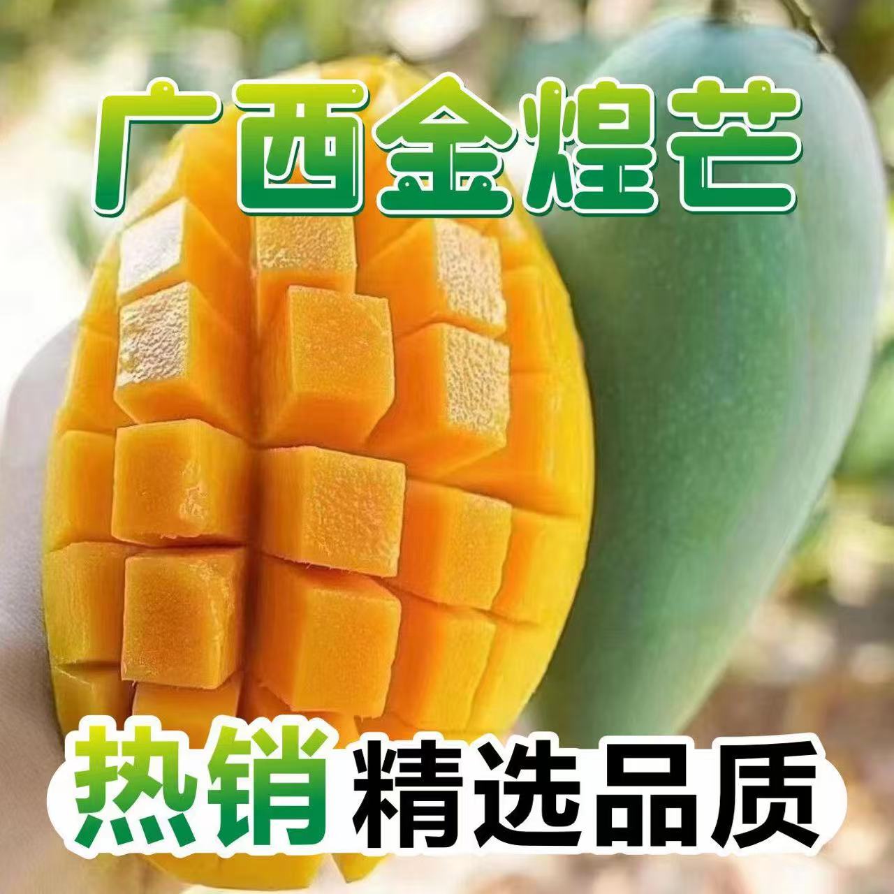 L【百色金煌芒】10斤装正宗广西百色大青芒软糯香现货（催熟食用）