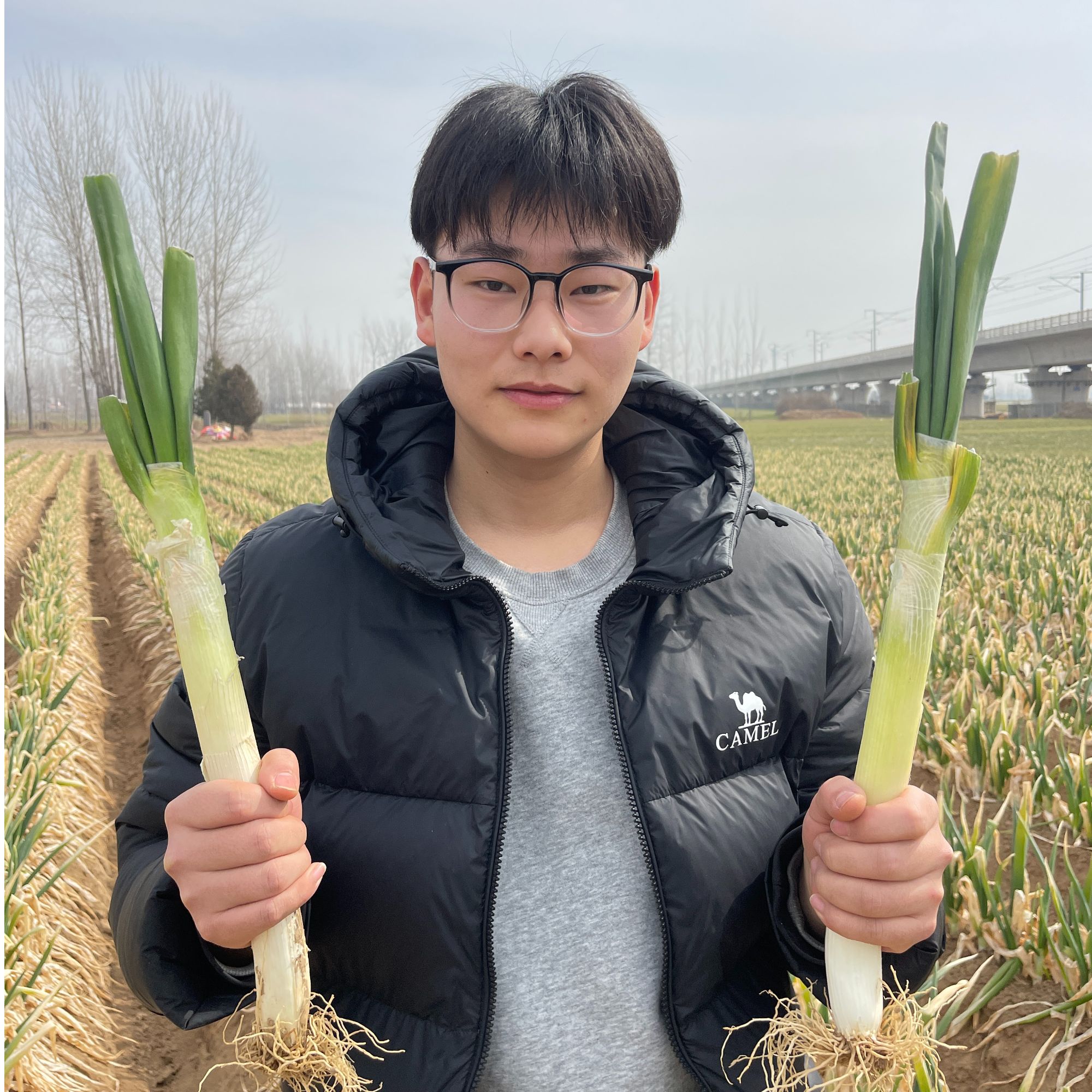 山东正宗新鲜铁杆大葱甜脆多汁产地直发