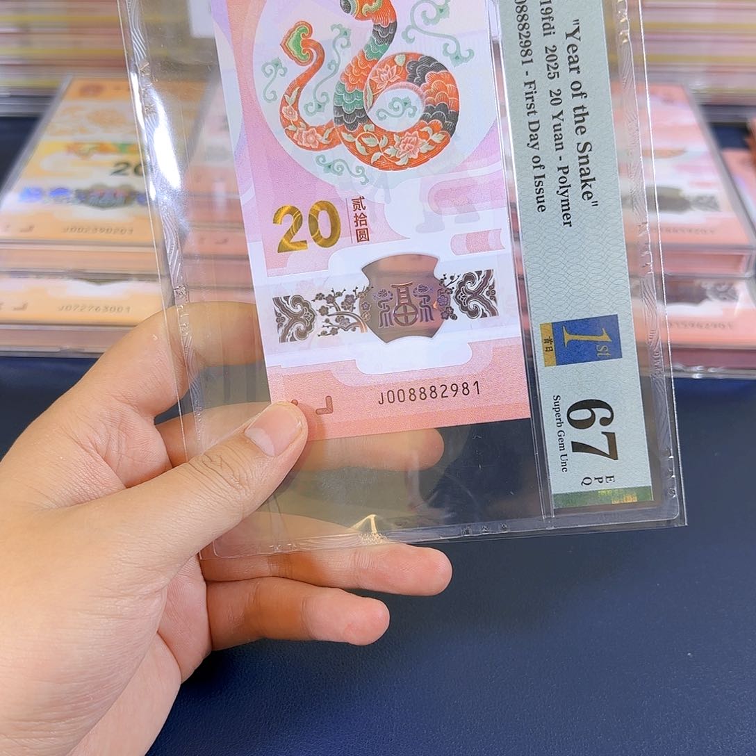 塑料蛇钞008882981单张