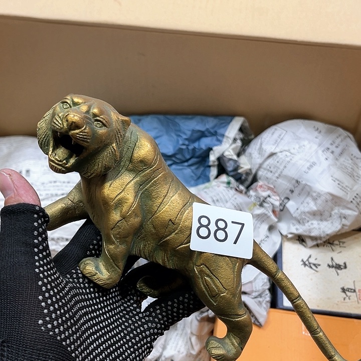 茶宠我们都在努力着改变