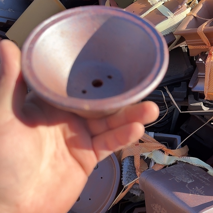 一定很喜欢的样子吧感觉都非常有魅力我会支持一下我们全家