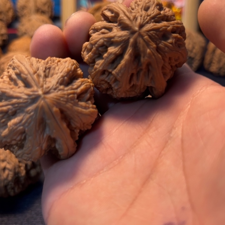 文玩核桃粗筋41全品 45克