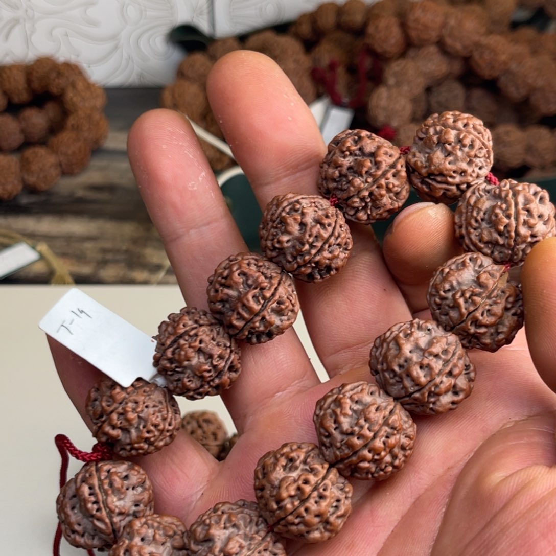 麻***长金刚菩提吊坠012古龙梅花红油皮铁籽头货