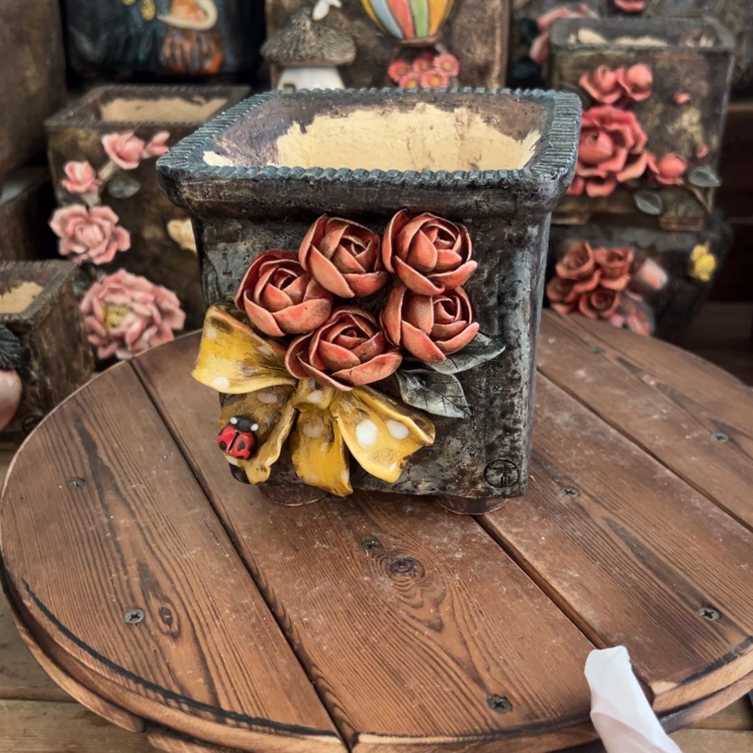 红陶牛*青藤多肉花盆