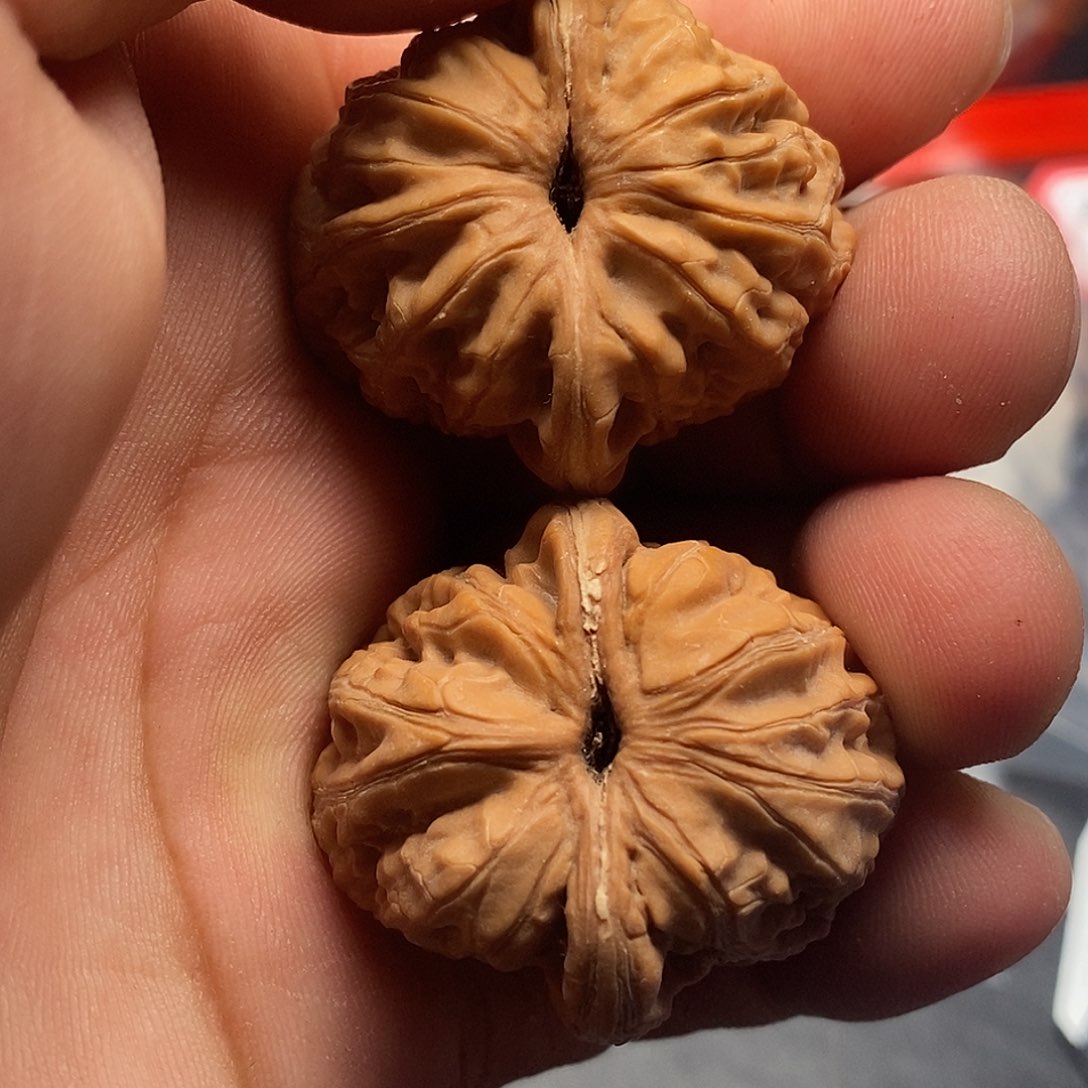 文玩核桃把件醒*38元宝