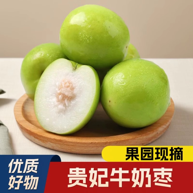 【贵妃牛奶枣团单】墨墨正宗福建苹果枣新鲜水果多汁（1道具=2.5g）