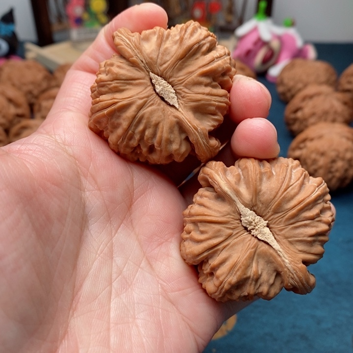 文玩核桃把件全品白狮子45