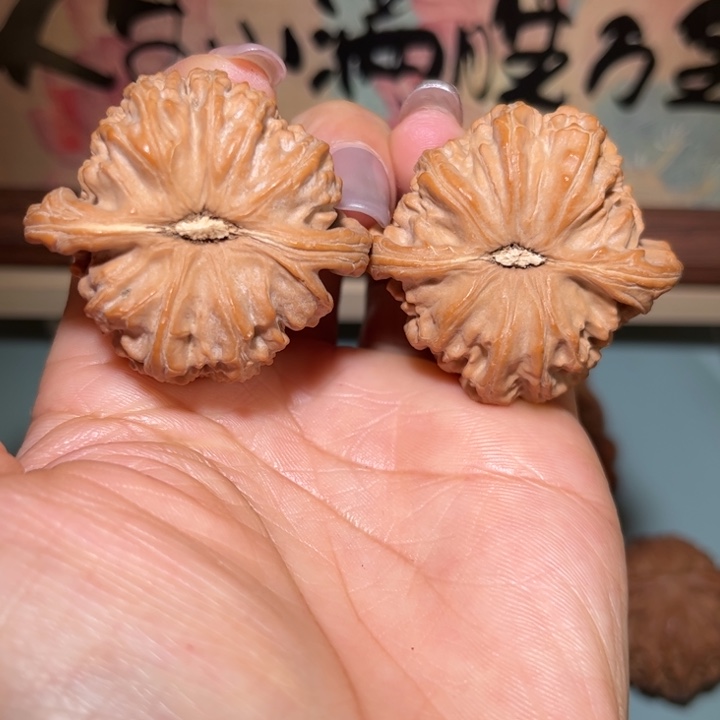 吊坠文玩核桃白狮子