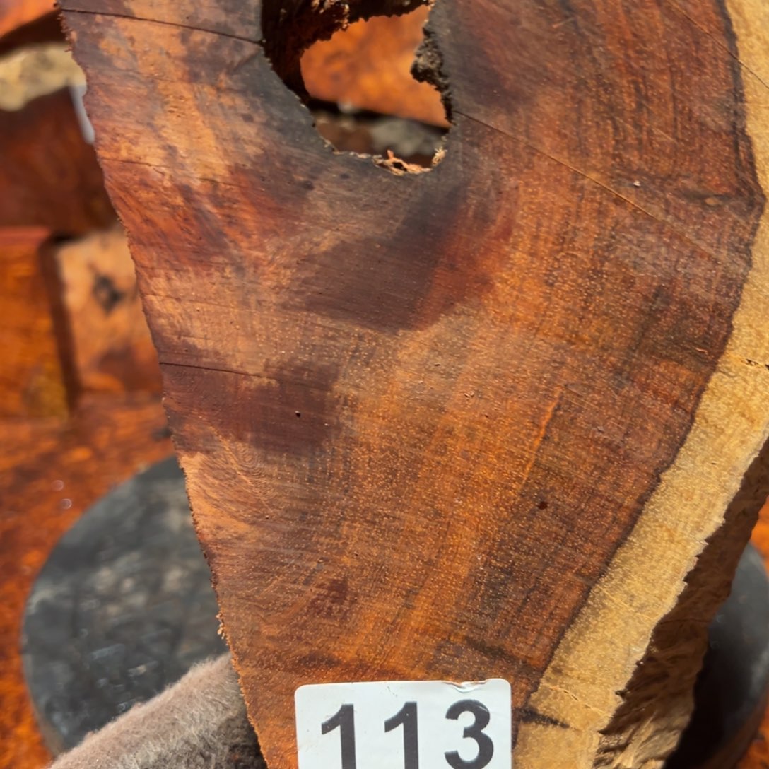 大果紫檀（缅甸花梨）