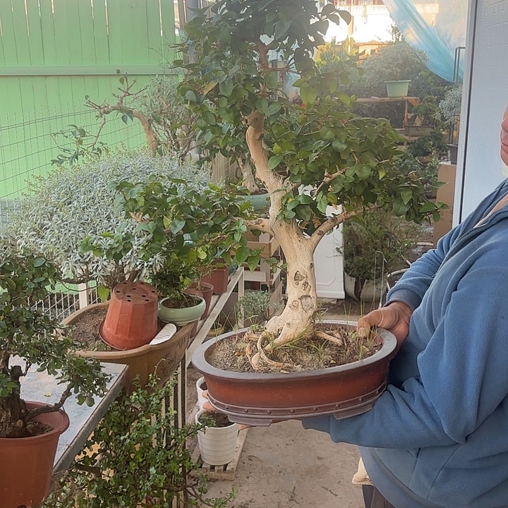 无***我无花朵哈哈哈哈哈哈