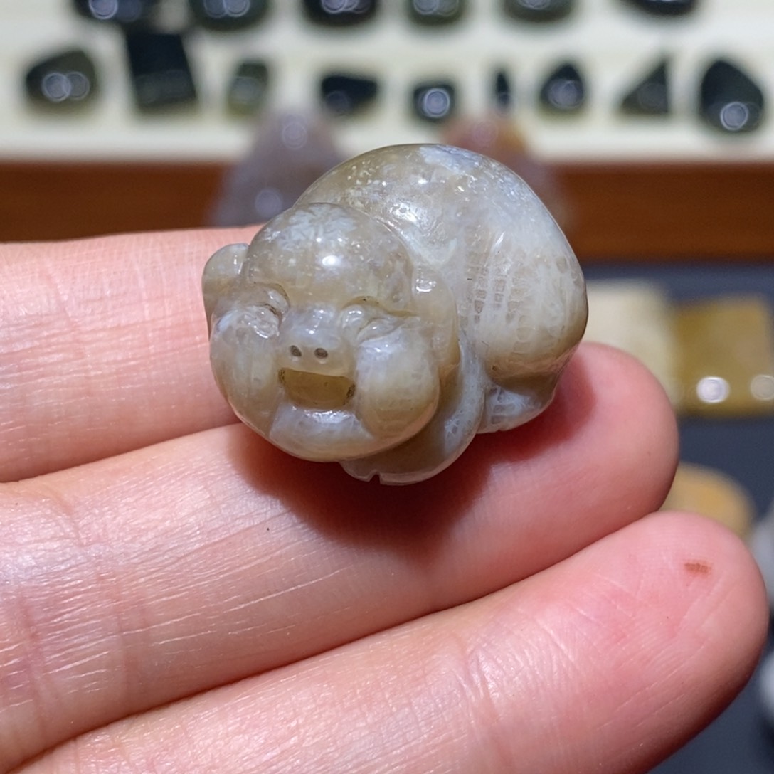 【闪购商品】未镶嵌珊瑚玉硅化玉