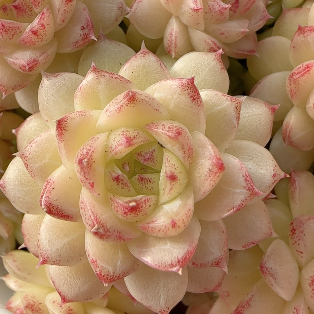 何*包【闪购商品】0130-127（ttp-23）