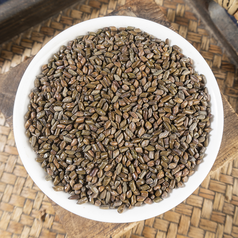 【决明子】精选本草决明子