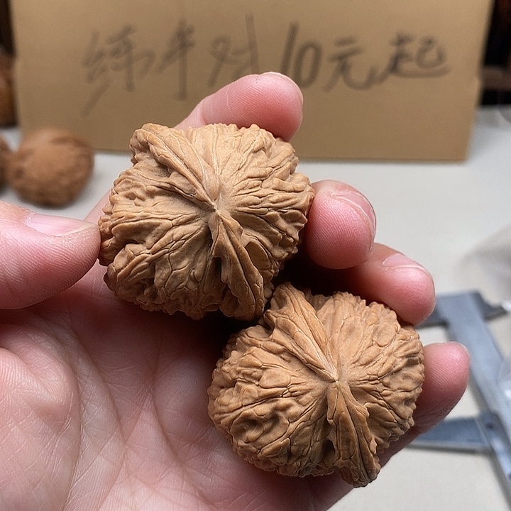 流***狼吊坠龙脊菩提24.24.24.24,24.24