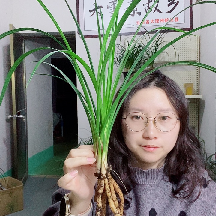 完全开放大雪素大雪素