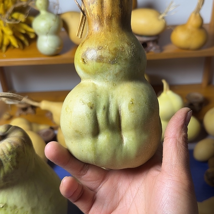 不***间葫芦青皮葫芦手把件摆件