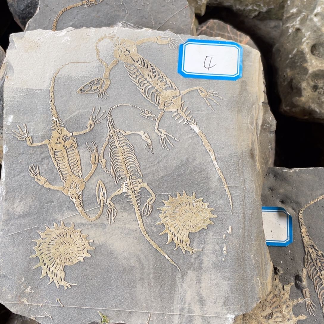 石材4444444444444444444