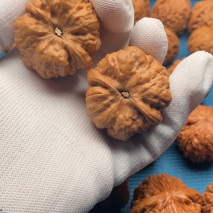 蛙蛙一对儿已打底