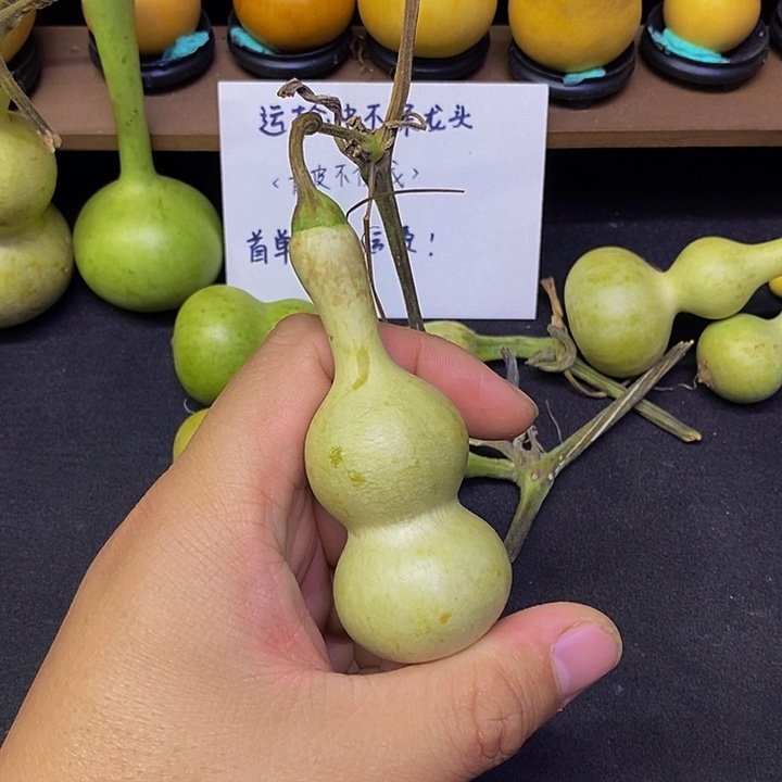 大*长嘴呼呼呼呼呼呼呼呼呼呼呼呼哈吼